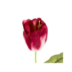 Kunstlill tulp hind ja info | Kunstlilled | kaup24.ee