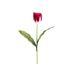 Kunstlill tulp hind ja info | Kunstlilled | kaup24.ee