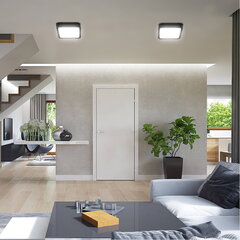 Pinna LED-paneel MasterLed Orto 12 W 4000K hind ja info | Süvistatavad ja LED valgustid | kaup24.ee