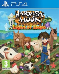 PS4 Harvest Moon: Light of Hope Special Edition цена и информация | Компьютерные игры | kaup24.ee