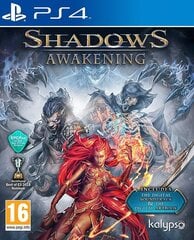 PlayStation 4 Mäng Shadows: Awakening hind ja info | Arvutimängud, konsoolimängud | kaup24.ee