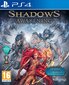 PlayStation 4 Mäng Shadows: Awakening цена и информация | Arvutimängud, konsoolimängud | kaup24.ee