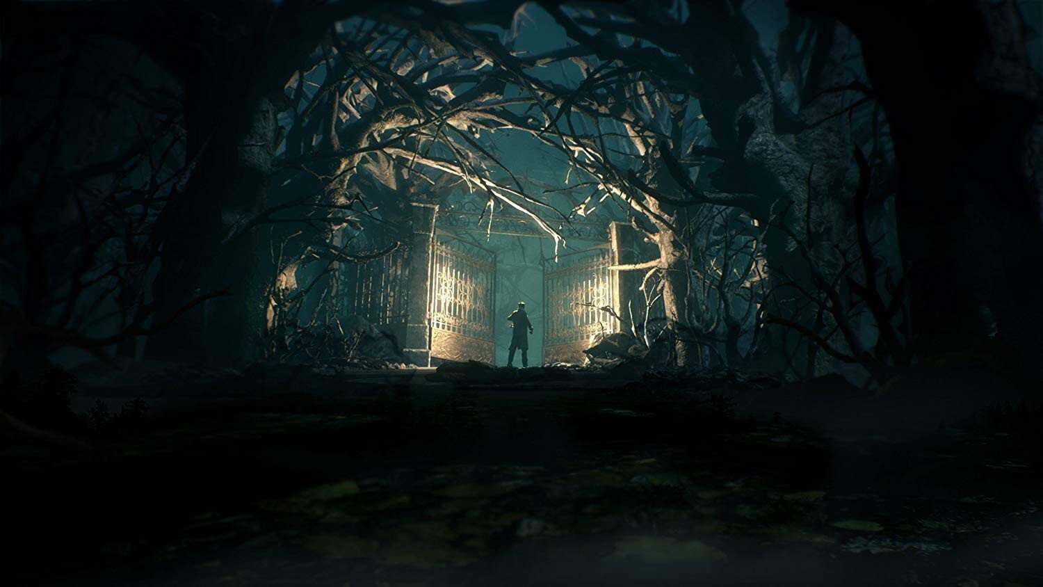 PlayStation 4 Mäng Call of Cthulhu hind ja info | Arvutimängud, konsoolimängud | kaup24.ee