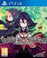 PlayStation 4 Mäng Labyrinth of Refrain: Coven of Dusk hind ja info | Arvutimängud, konsoolimängud | kaup24.ee