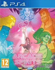 PS4 Arcade Spirits hind ja info | PQube Arvutid ja IT- tehnika | kaup24.ee