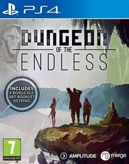 PS4 Dungeon of the Endless цена и информация | Компьютерные игры | kaup24.ee