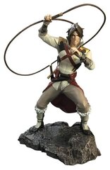 Diamond Select Gallery Diorama: Castlevania - Trevor Belmont цена и информация | Атрибутика для игроков | kaup24.ee