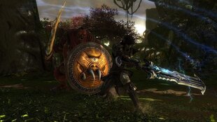 PS4 Kingdoms of Amalur: Re-Reckoning hind ja info | Arvutimängud, konsoolimängud | kaup24.ee