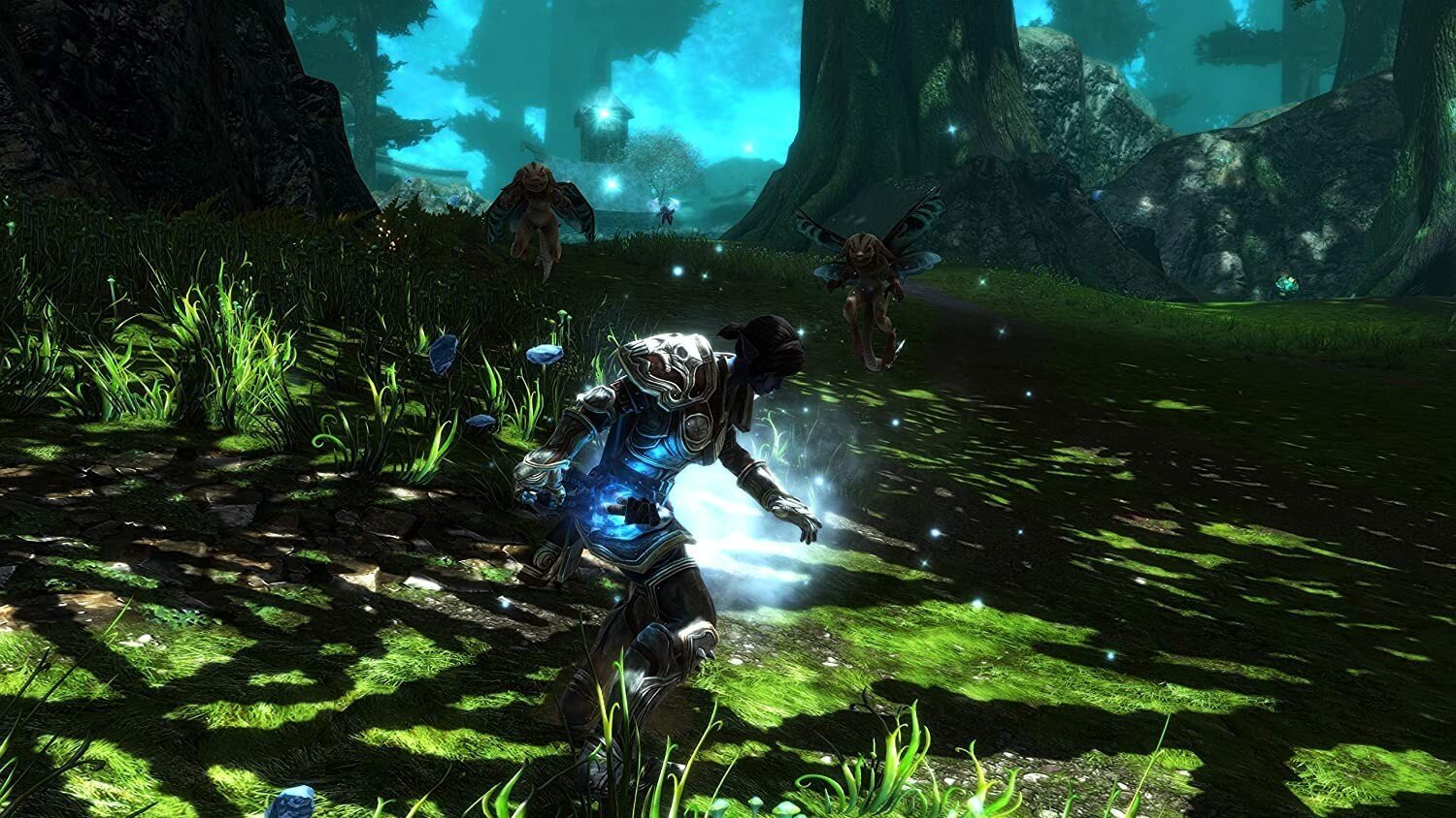 PS4 Kingdoms of Amalur: Re-Reckoning hind ja info | Arvutimängud, konsoolimängud | kaup24.ee