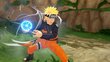 XboxOne mäng Naruto to Boruto: Shinobi Striker Collectors Edition hind ja info | Arvutimängud, konsoolimängud | kaup24.ee