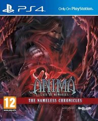 PS4 Anima: Gate of Memories - The Nameless Chronicles цена и информация | Компьютерные игры | kaup24.ee