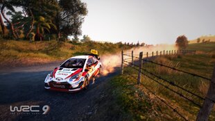 Компьютерная игра WRC 9 (PS5) цена и информация | Компьютерные игры | kaup24.ee