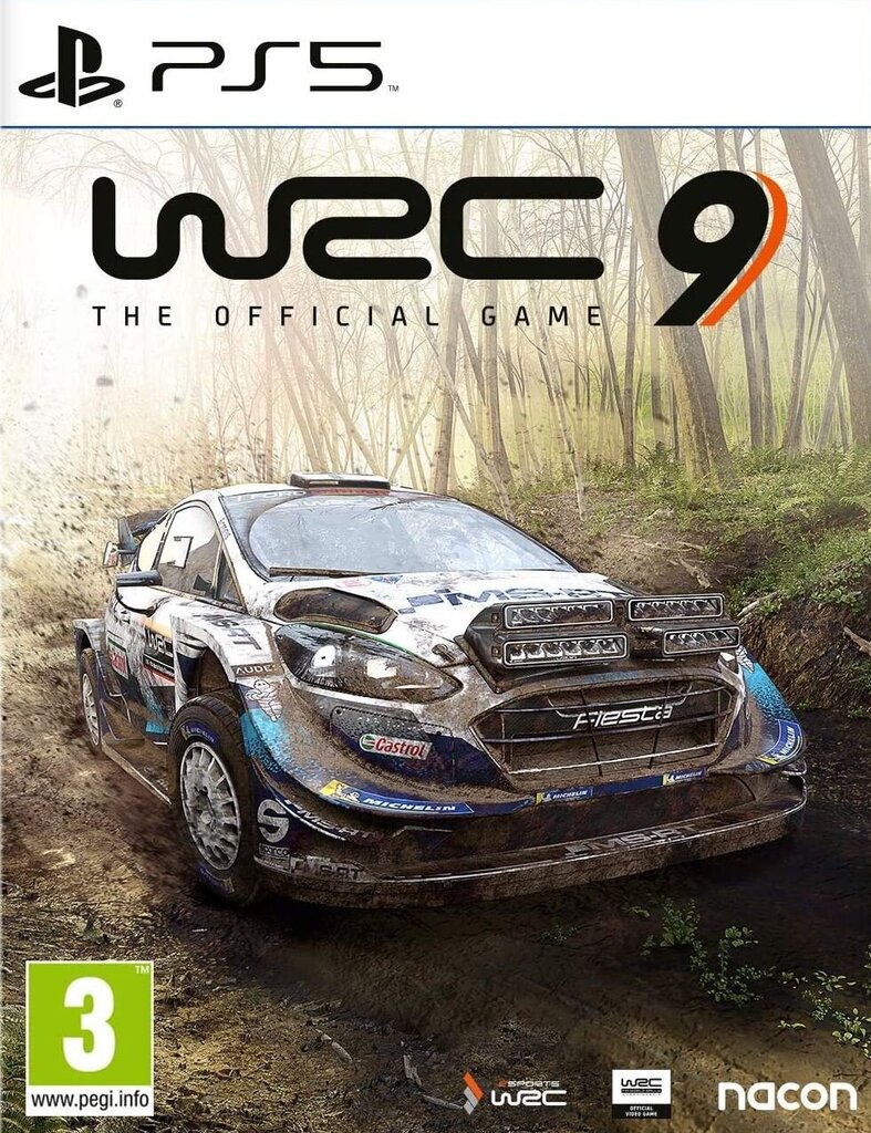 PlayStation 5 mäng - WRC 9: FIA World Rally Championship цена и информация | Arvutimängud, konsoolimängud | kaup24.ee