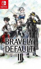 Nintendo Switch mäng Bravely Default II цена и информация | Компьютерные игры | kaup24.ee