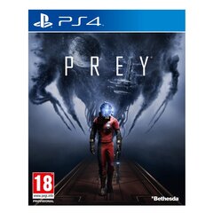 Sony PS4 Prey Inc Cosmonaut Shotgun DLC цена и информация | Компьютерные игры | kaup24.ee