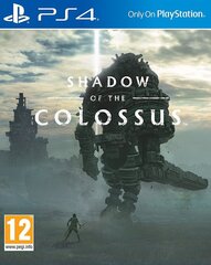 Sony PS4 Shadow Of The Colossus цена и информация | Компьютерные игры | kaup24.ee