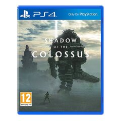 Sony PS4 Shadow Of The Colossus цена и информация | Компьютерные игры | kaup24.ee