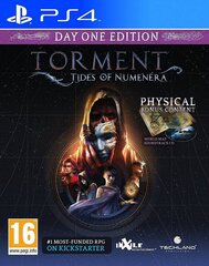 PlayStation 4 Mäng Torment: Tides of Numenera цена и информация | Компьютерные игры | kaup24.ee