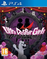 PlayStation 4 Mäng Danganronpa Another Episode: Ultra Despair Girls hind ja info | Arvutimängud, konsoolimängud | kaup24.ee