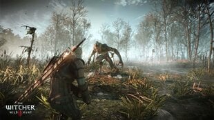 Arvutimäng Witcher 3: Wild Hunt GOTY Edition hind ja info | Arvutimängud, konsoolimängud | kaup24.ee