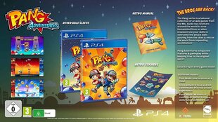 PS4 Pang Adventures: Buster Edition цена и информация | Компьютерные игры | kaup24.ee
