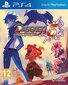 PlayStation 4 Mäng Disgaea 5: Alliance of Vengeance hind ja info | Arvutimängud, konsoolimängud | kaup24.ee