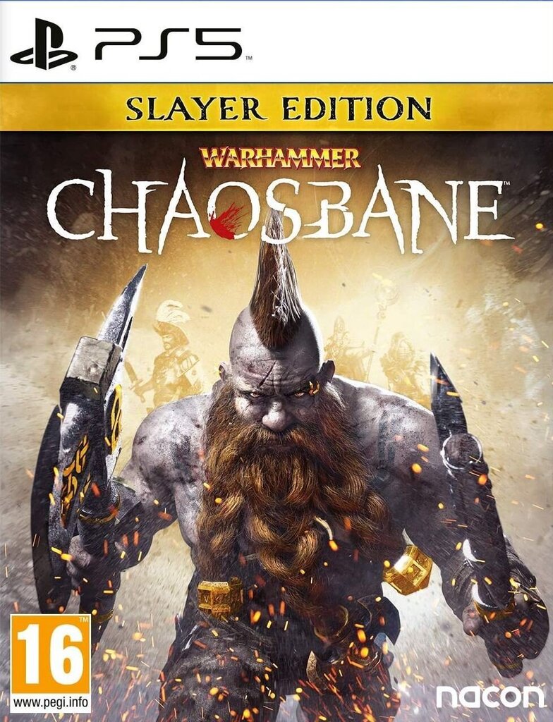 PlayStation 5 mäng Warhammer: Chaosbane Slayer Edition hind ja info | Arvutimängud, konsoolimängud | kaup24.ee