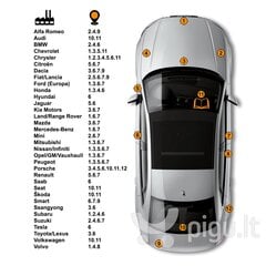 BMW 305 - PETROL Комплект: Карандаш-корректор для устранения царапин + Модификатор ржавчины + Лак 15 ml цена и информация | Автомобильная краска | kaup24.ee