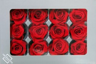Стабилизированные мини розы 12 шт., красные цена и информация | Спящие стабилизированные розы, растения | kaup24.ee