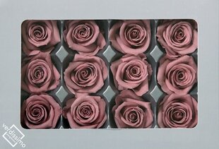 Стабилизированные мини розы 12 шт., cherry blossom цена и информация | Спящие стабилизированные розы, растения | kaup24.ee