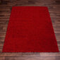 Vaip Shaggy Red 80x150 cm цена и информация | Vaibad | kaup24.ee