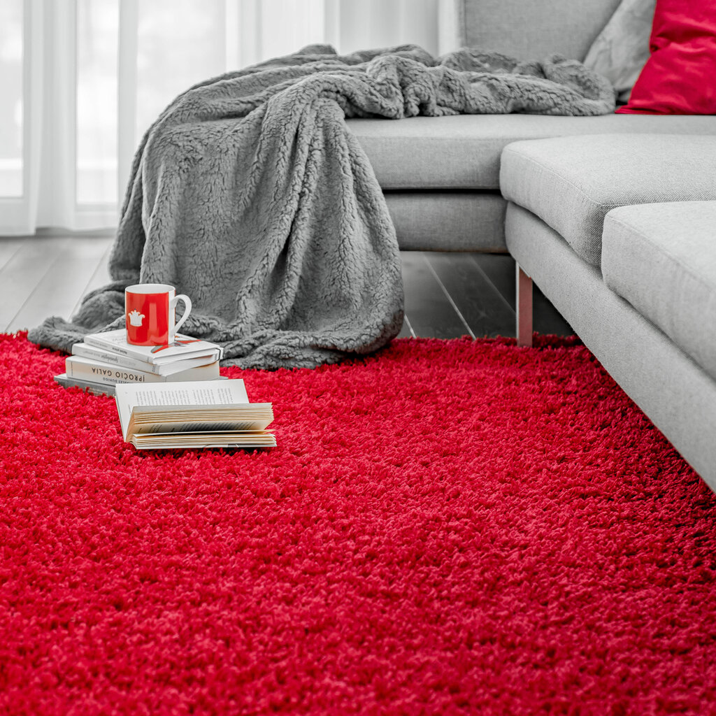 Vaip Shaggy Red 80x150 cm цена и информация | Vaibad | kaup24.ee