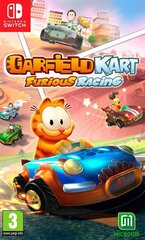 Switch mäng Garfield Kart Furious Racing hind ja info | Arvutimängud, konsoolimängud | kaup24.ee