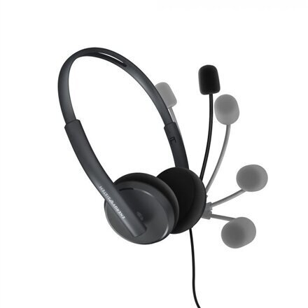 Energy Sistem Headset Office 2 Anthracite 452132 цена и информация | Kõrvaklapid | kaup24.ee