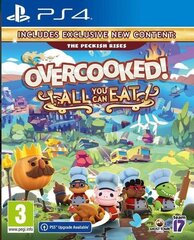 PlayStation 4 mäng Overcooked All You Can Eat hind ja info | Arvutimängud, konsoolimängud | kaup24.ee