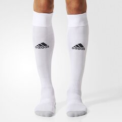 Спортивные носки для мужчин Adidas Milano 16, белые цена и информация | Meeste sokid | kaup24.ee