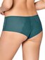 Triumph Lace Spotlight BAN hind ja info | Naiste aluspüksid | kaup24.ee