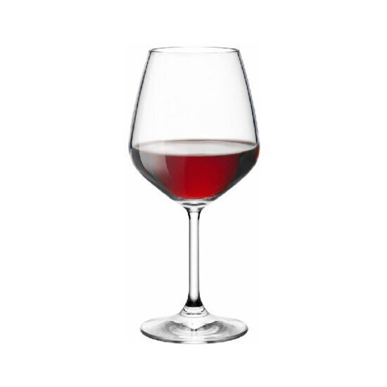 Punase veini pokaal Divino Calice, 53 cl цена и информация | Klaasid, tassid ja kannud | kaup24.ee