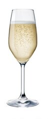 Šampusepokaal Divino Calice, 24 cl hind ja info | Klaasid, tassid ja kannud | kaup24.ee