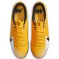 Jalgpallijalatsid meestele Nike Mercurial Vapor 13, kollane hind ja info | Jalgpallijalatsid | kaup24.ee