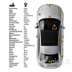 DACIA QX1 - WHITE Карандаш-корректор для устранения царапин + Лак 15 ml цена и информация | Автомобильная краска | kaup24.ee