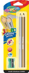 Цветные карандаши с точилкой COLORINO KIDS Jumbo, золотой и серебряный, 51675PTR цена и информация | Принадлежности для рисования, лепки | kaup24.ee