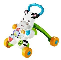 Музыкальные ходунки Fisher Price, DPL53 цена и информация | Drewniana Wieża Piramida Kura Nakładanie Kolorowych Kwadratów LD-15 15276 | kaup24.ee