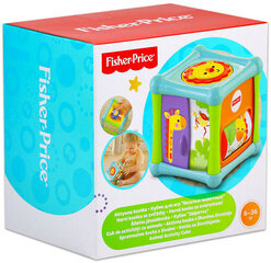 Fisher Price tegevuskuubik Bfh80 цена и информация | Drewniana Wieża Piramida Kura Nakładanie Kolorowych Kwadratów LD-15 15276 | kaup24.ee