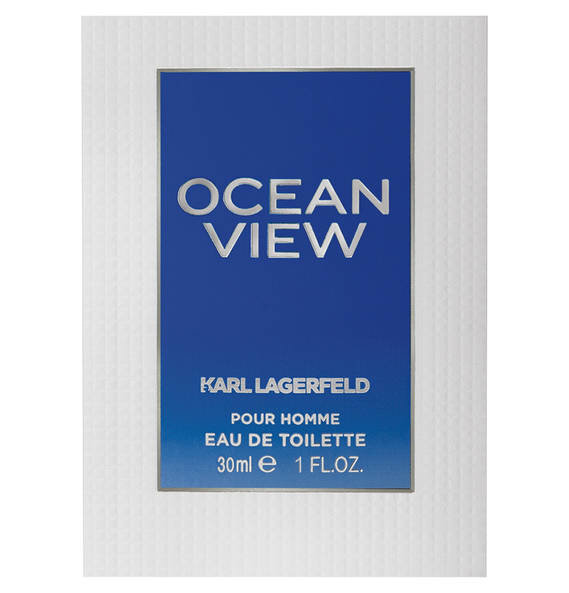 Tualettvesi Karl Lagerfeld Ocean View EDT meestele 30 ml цена и информация | Meeste parfüümid | kaup24.ee