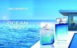 Tualettvesi Karl Lagerfeld Ocean View EDT meestele 30 ml hind ja info | Meeste parfüümid | kaup24.ee
