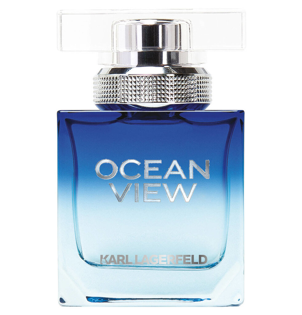 Tualettvesi Karl Lagerfeld Ocean View EDT meestele 30 ml цена и информация | Meeste parfüümid | kaup24.ee