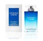 Tualettvesi Karl Lagerfeld Ocean View EDT meestele 100 ml цена и информация | Meeste parfüümid | kaup24.ee