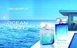 Tualettvesi Karl Lagerfeld Ocean View EDT meestele 100 ml цена и информация | Meeste parfüümid | kaup24.ee