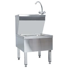 vidaXL kätepesuvalamu kraaniga, roostevaba teras hind ja info | Kraanikausid, valamud | kaup24.ee